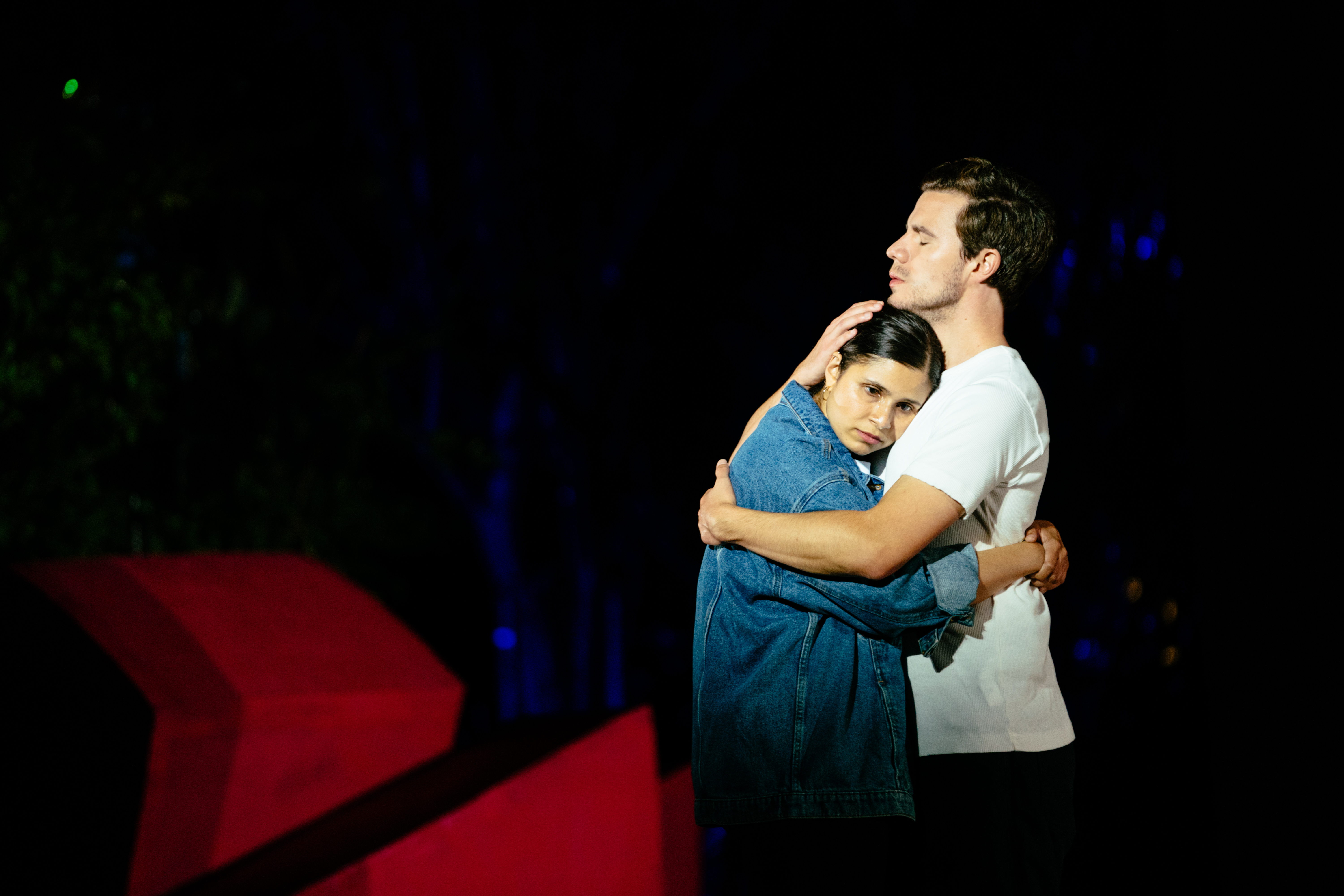 Antigone: What to expect - 4