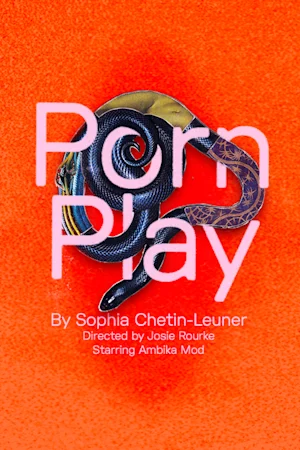 Porn Play Tickets