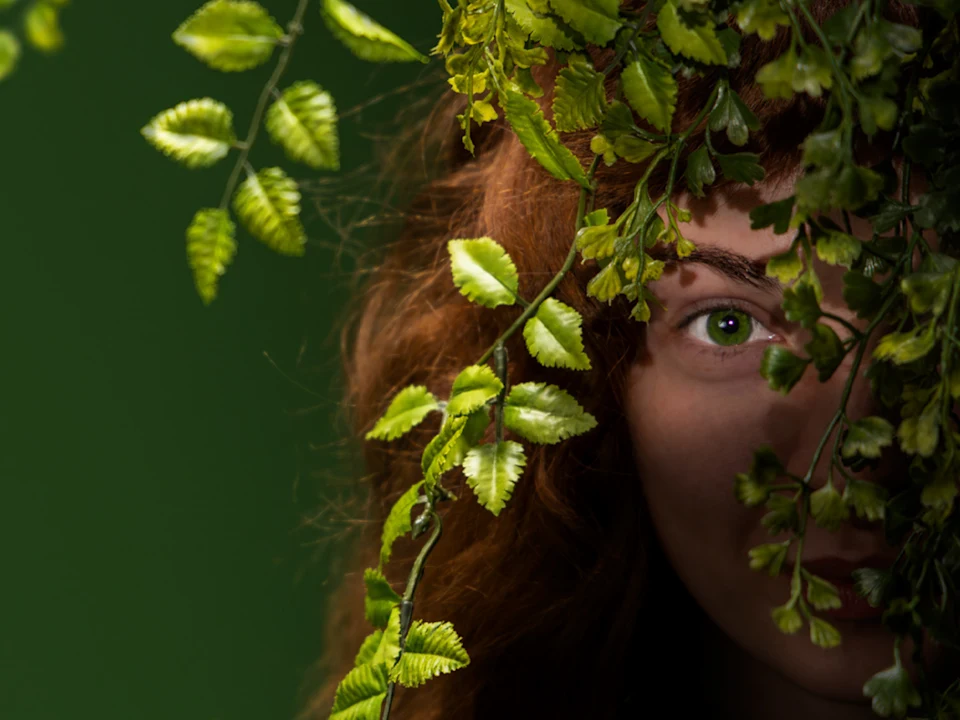 As You Like it: What to expect - 1