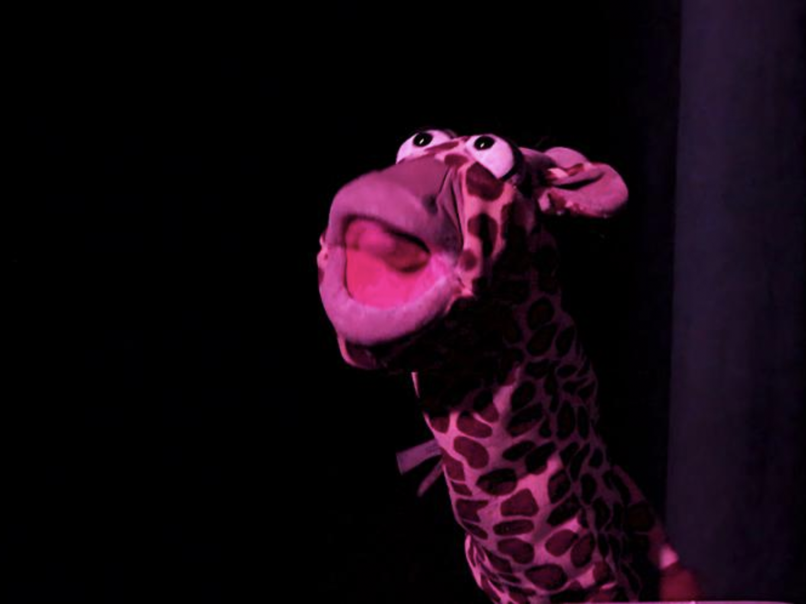 A Modern Professional's Guide to Side-Saddle Jousting: What to expect - 4