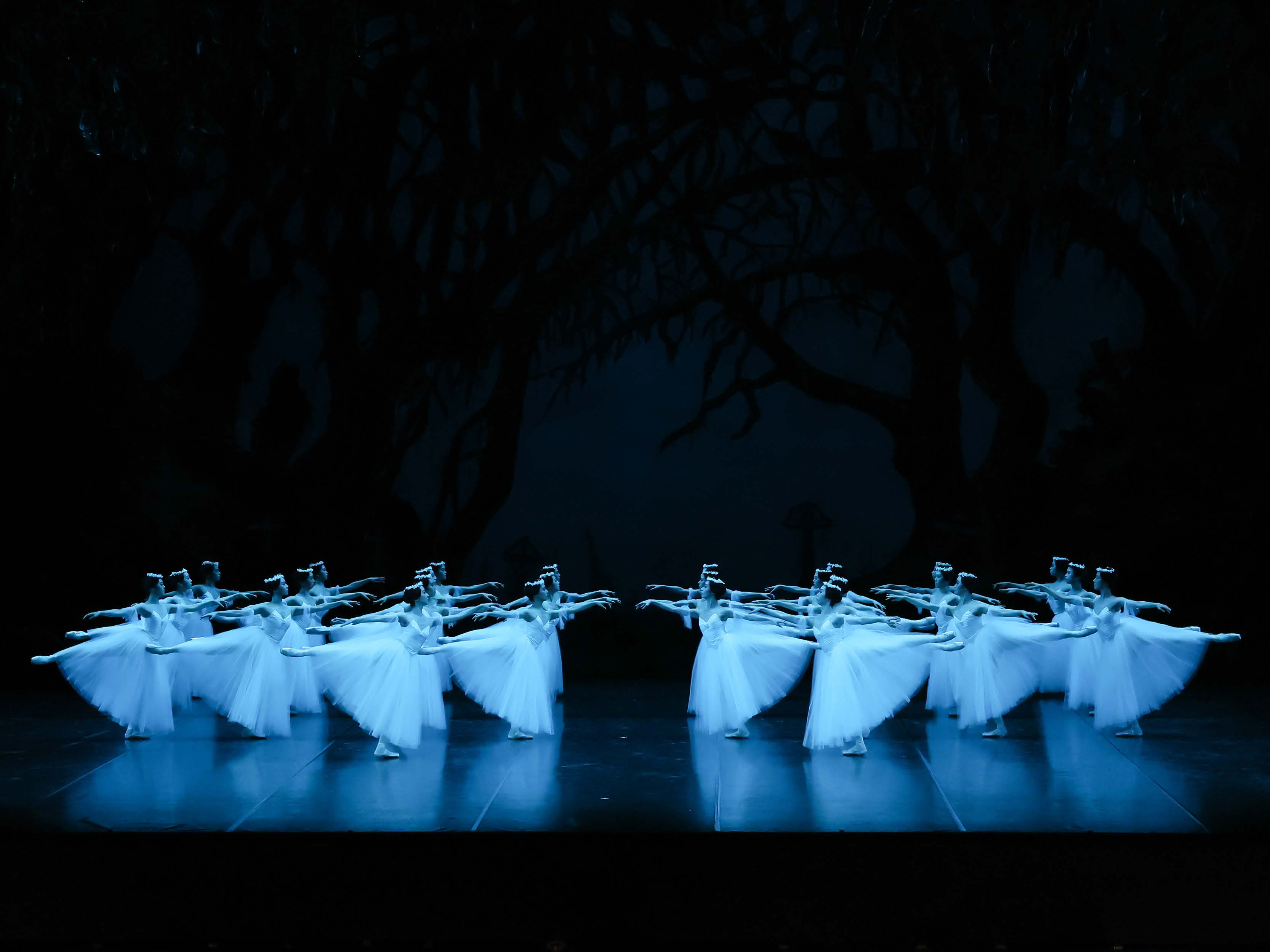 The Australian Ballet presents Giselle Tickets Melbourne TodayTix