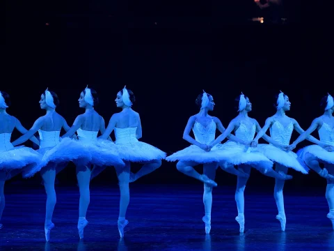 Swan Lake in-the-round: What to expect - 2