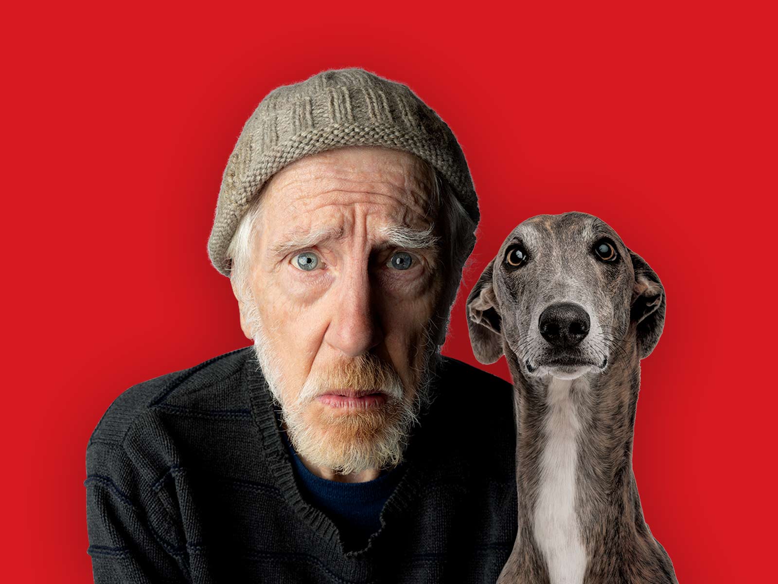 THE DAPTO CHASER: What to expect - 2