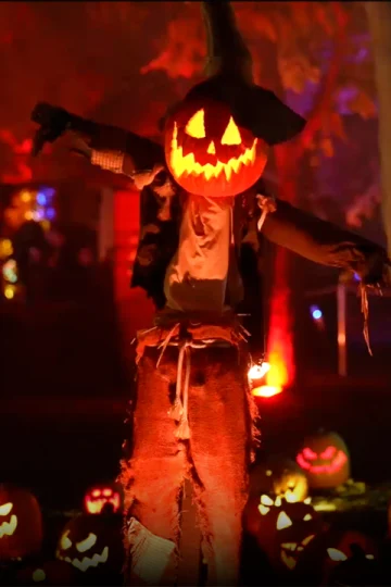 Magic of the Jack O’Lanterns: What to expect - 1