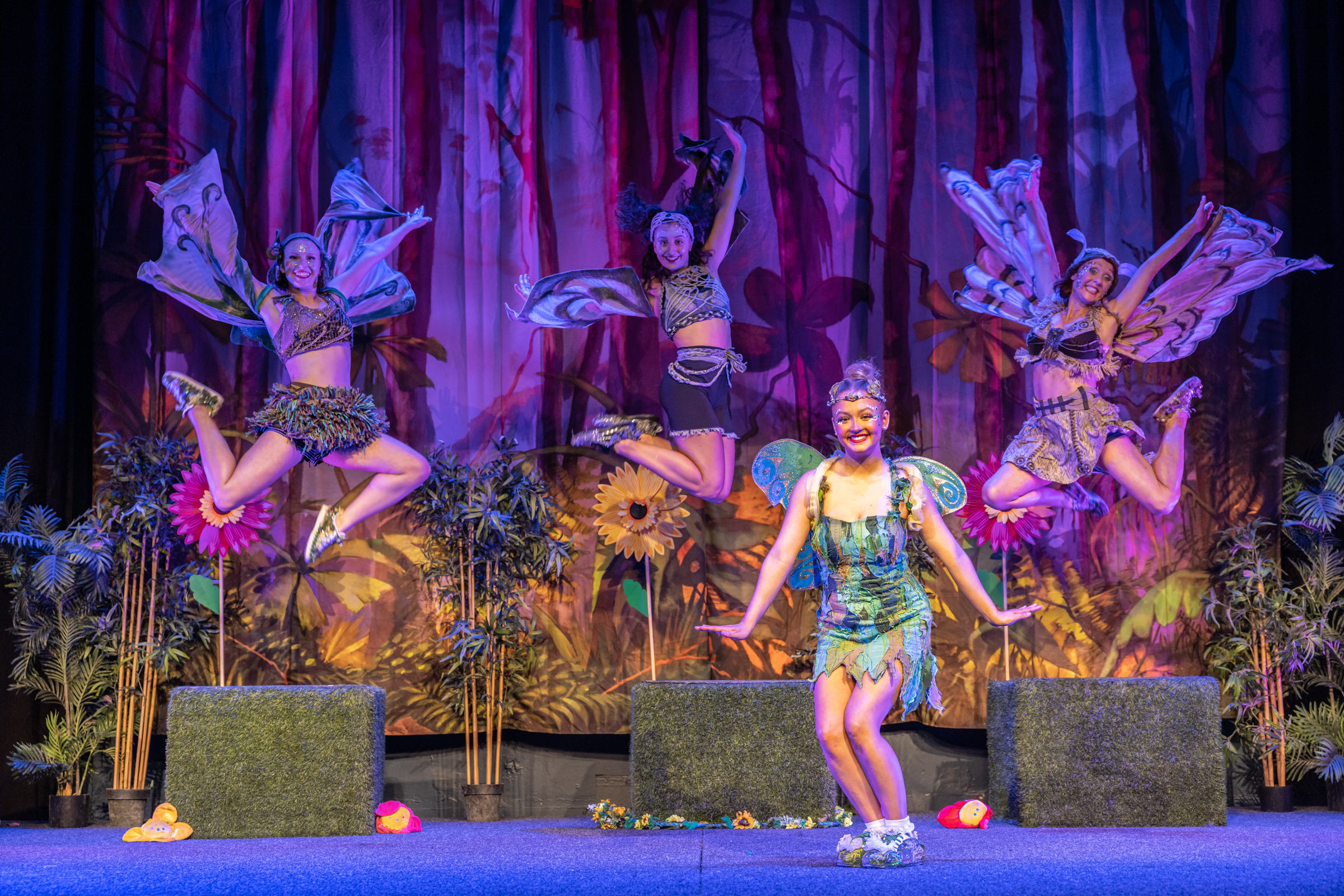 Tinkerbell and the Dream Fairies: What to expect - 2