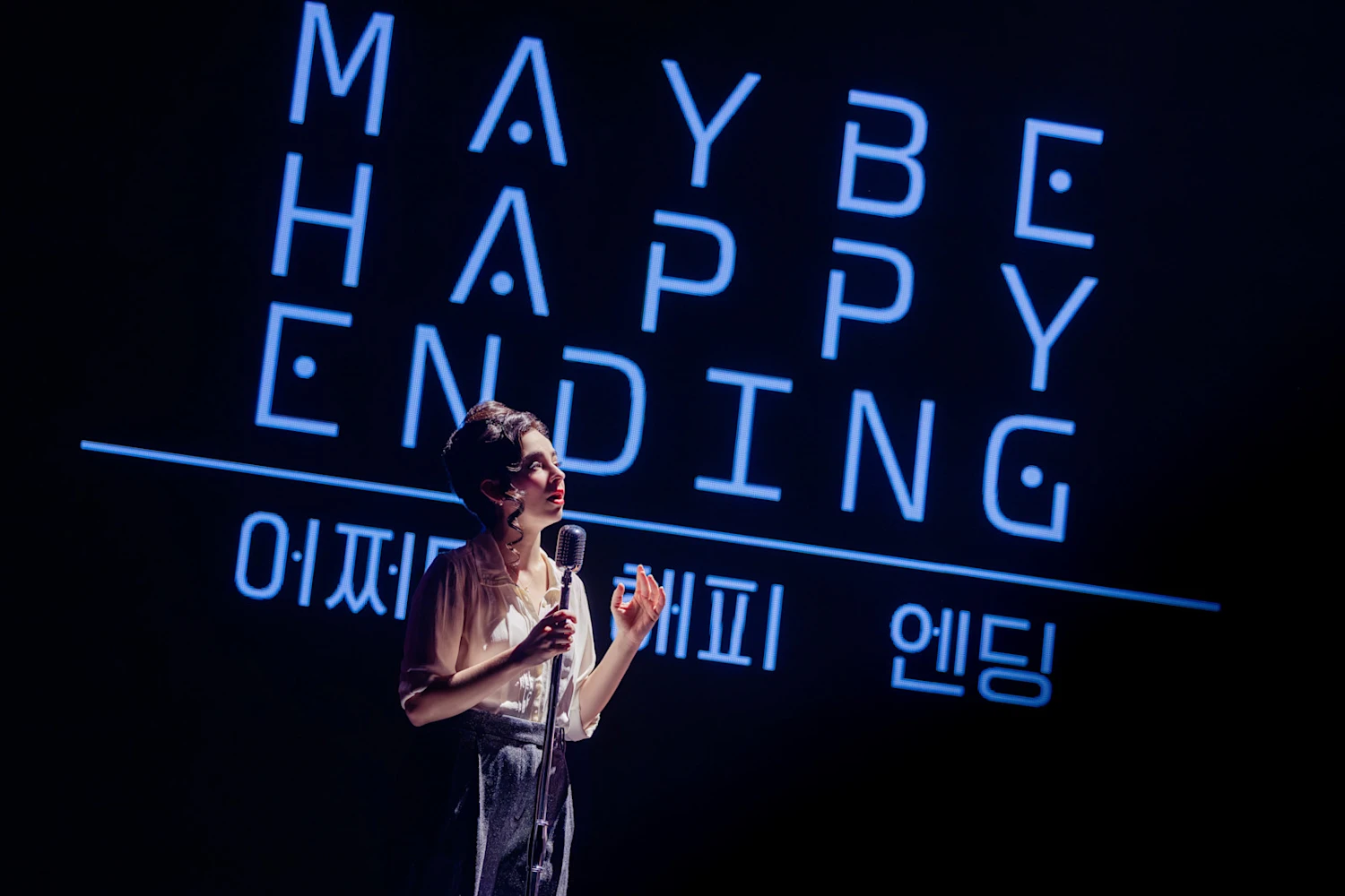 Maybe Happy Ending: What to expect - 1