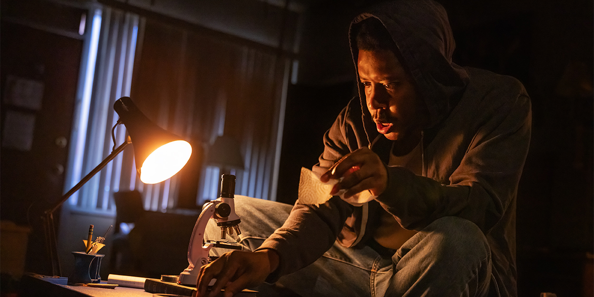 12 bug-1200x600-NYTG