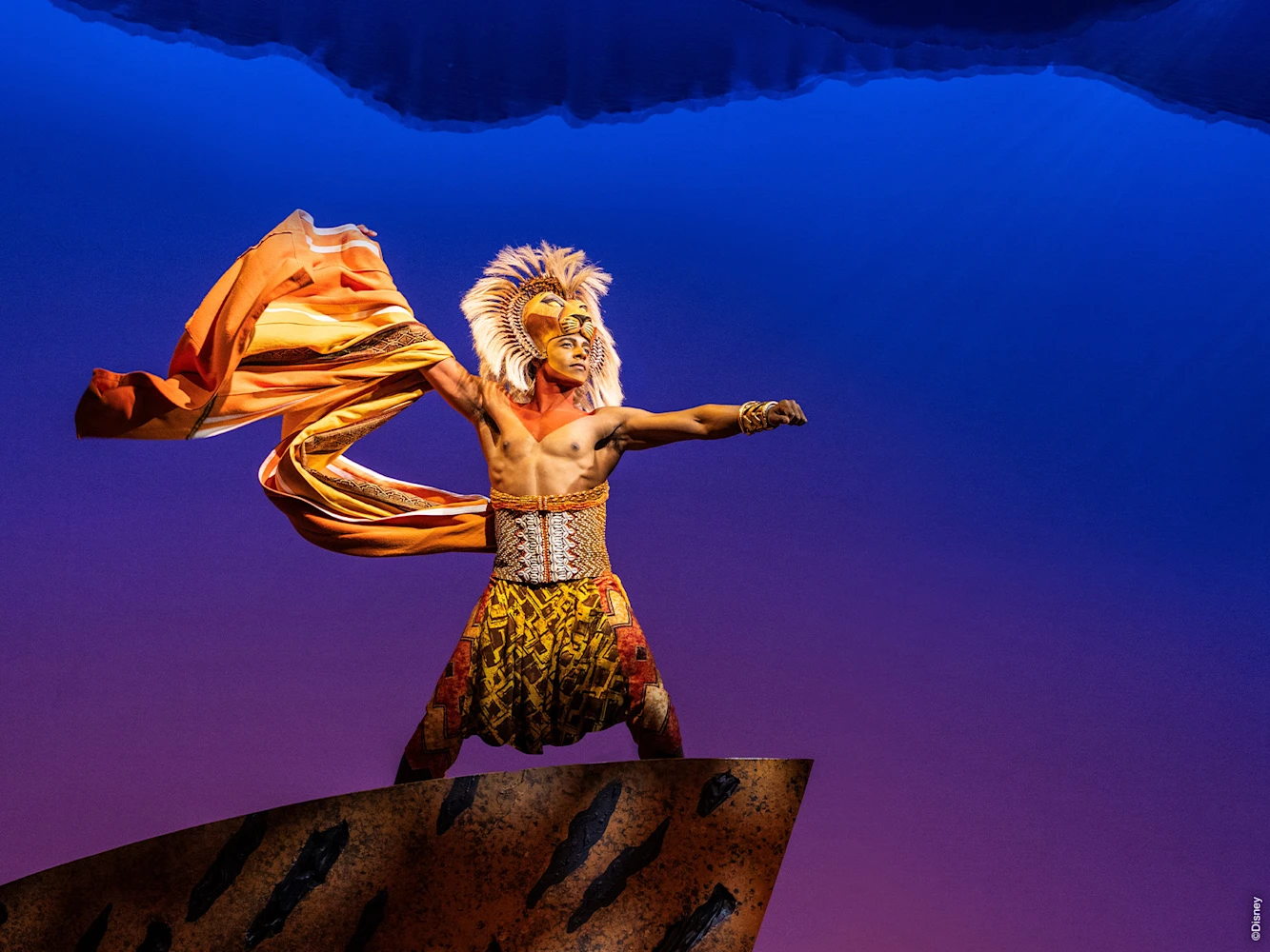 THE LION KING: What to expect - 2