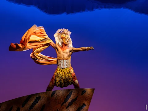 THE LION KING: What to expect - 3