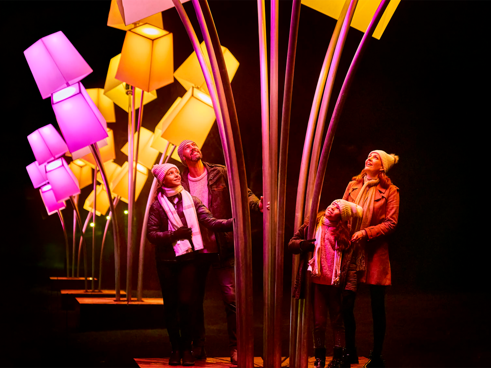 Lightscape Chicago: What to expect - 3