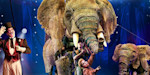 Photo credit: Circus 1903 (Photo courtesy of Circus 1903)