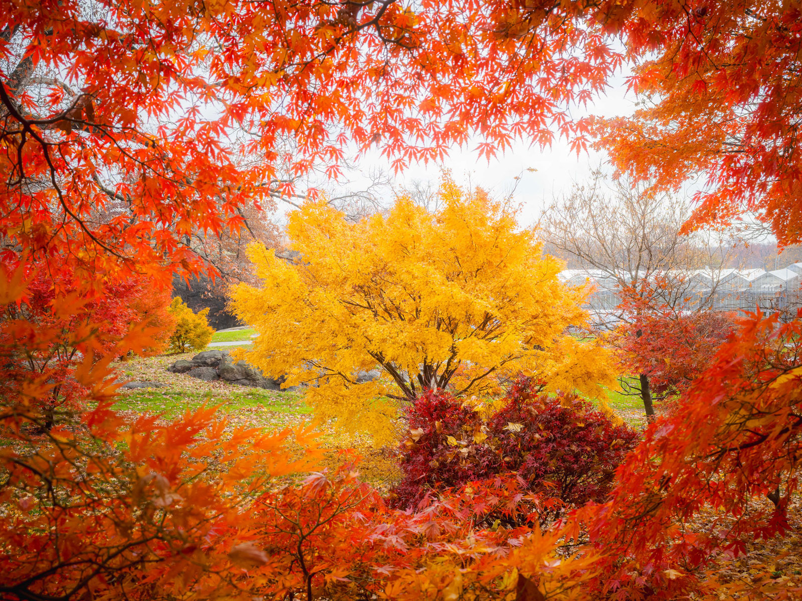 Autumn on Tap: What to expect - 4