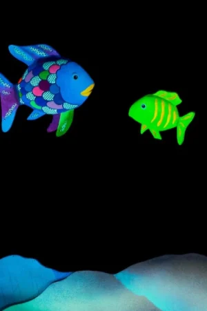 The Rainbow Fish