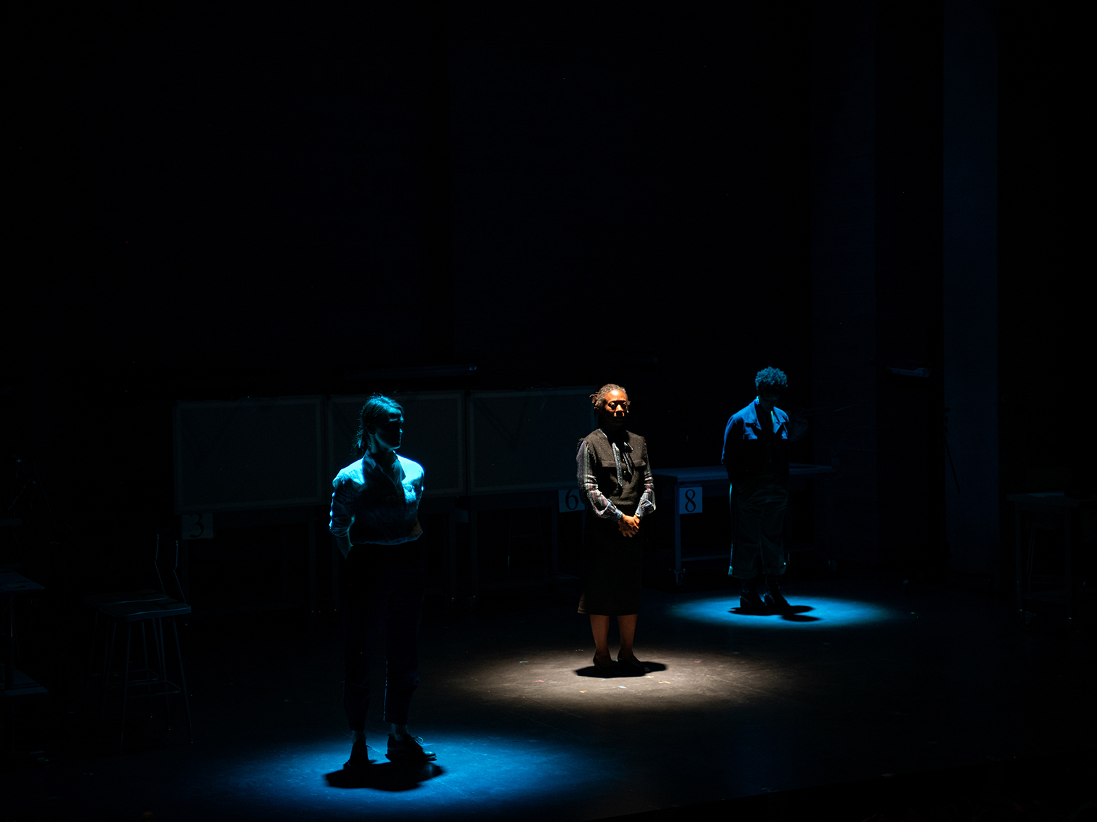 Here There Are Blueberries: What to expect - 4