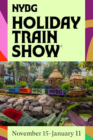 Holiday Train Show