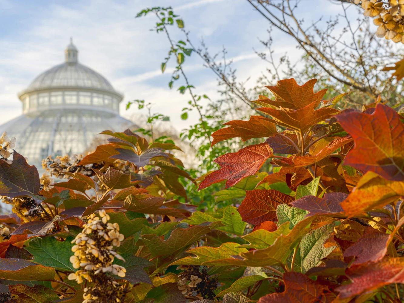 Fall-O-Ween: What to expect - 5