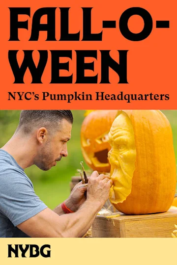 Fall-O-Ween Tickets
