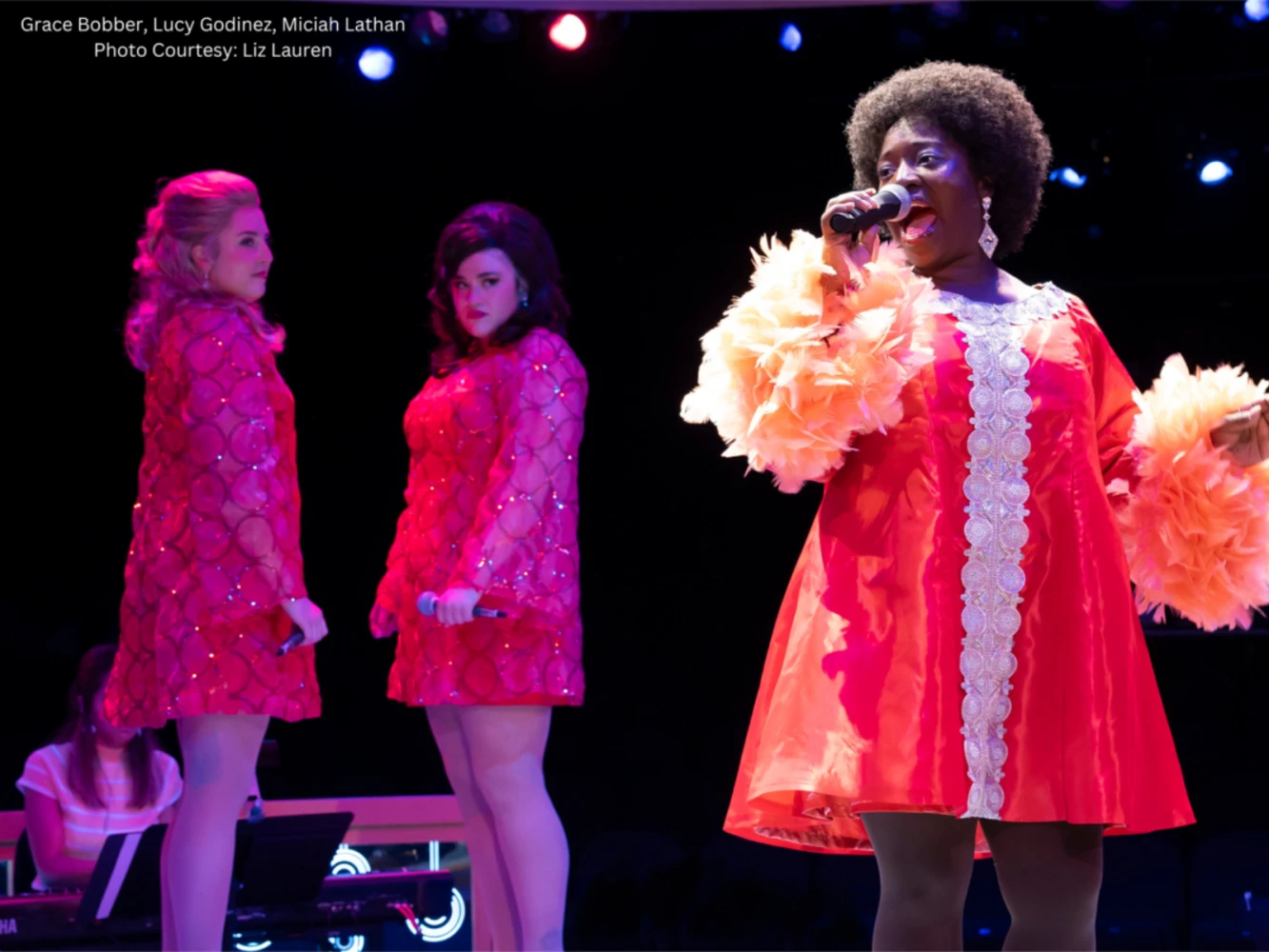 Beehive: The 60's Musical: What to expect - 5