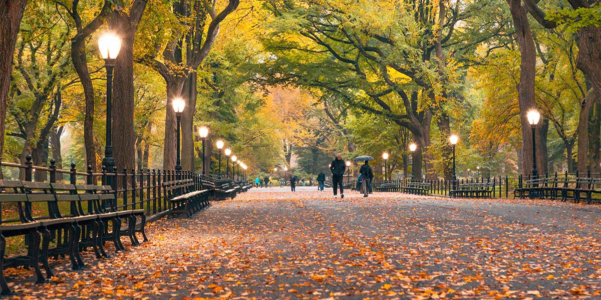 central park-1200x600-NYTG