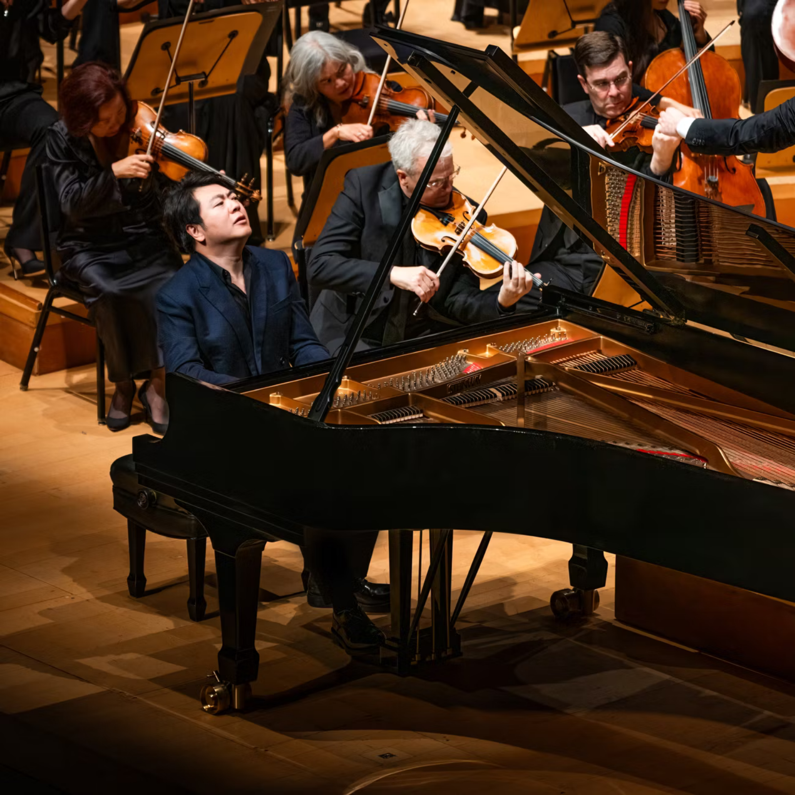 The piano bench