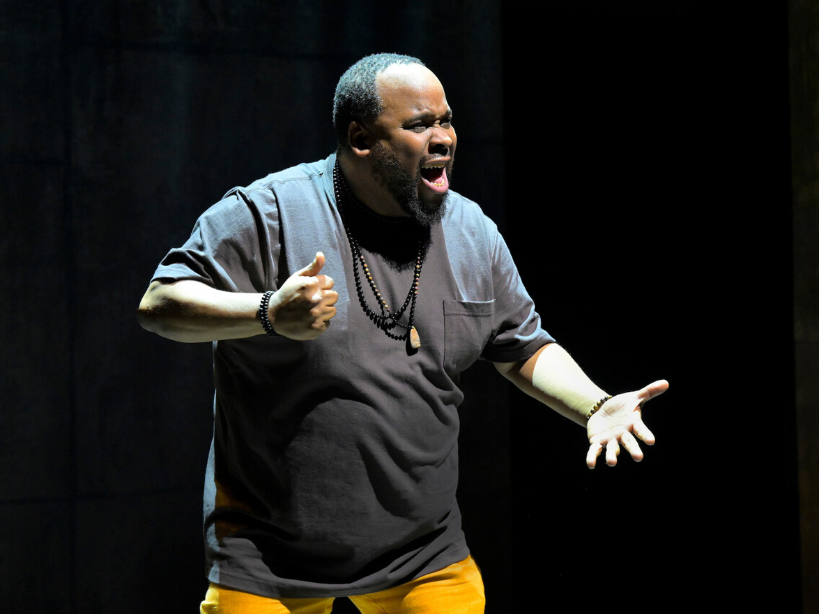 How Shakespeare Saved My Life: What to expect - 5