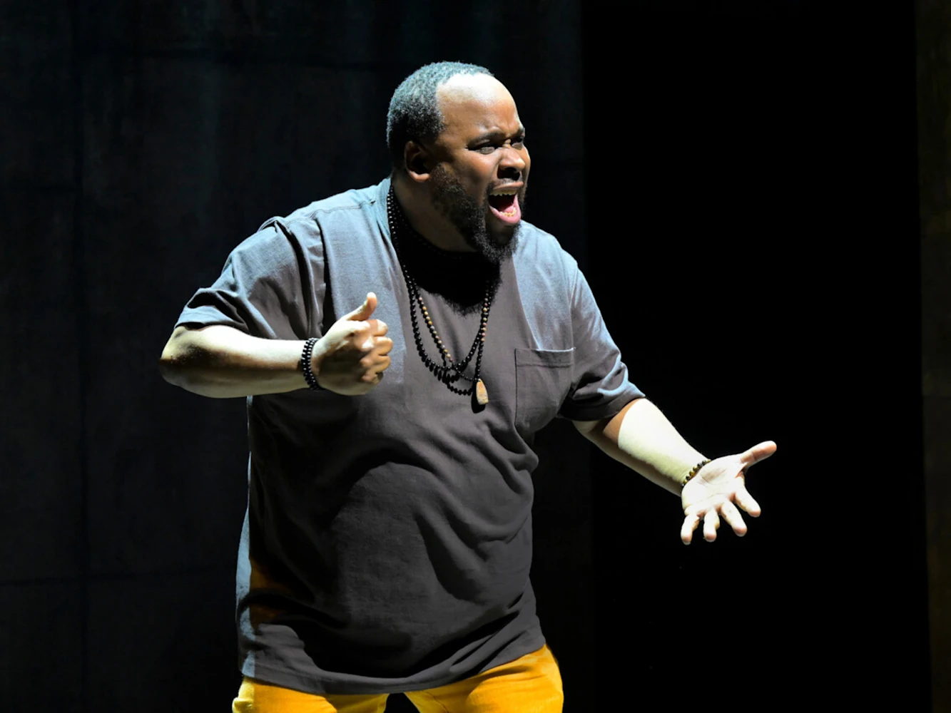 How Shakespeare Saved My Life: What to expect - 5