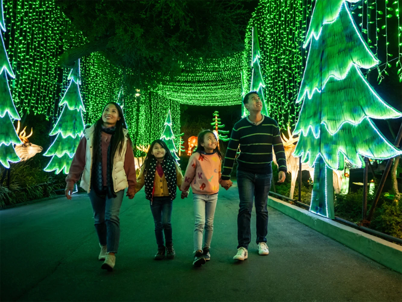 L.A. Zoo Lights: Animals Aglow: What to expect - 1