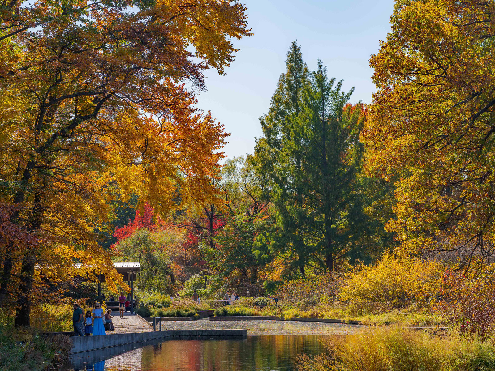 Autumn on Tap: What to expect - 2