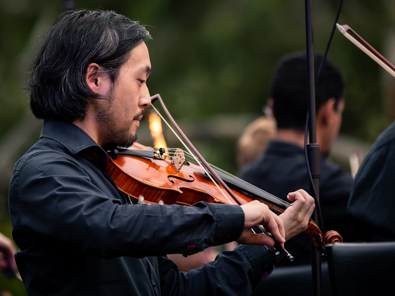 Mozart by Moonlight presented by The Australian Shakespeare Company: What to expect - 3