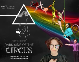 Dark Side of the Circus: What to expect - 1