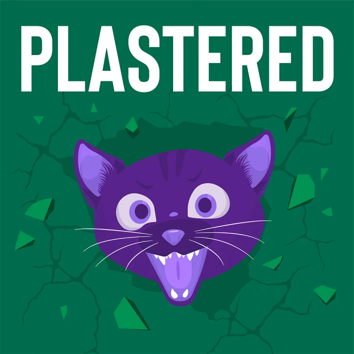 Plastered: What to expect - 1