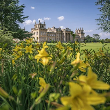 Blenheim Palace