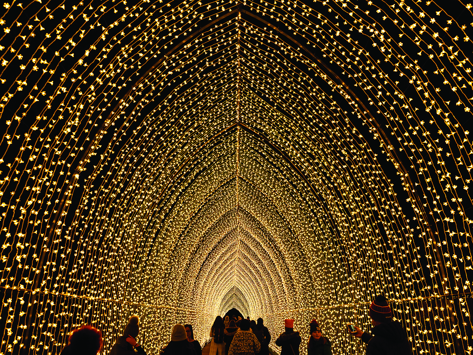 Lightscape Brooklyn: What to expect - 5