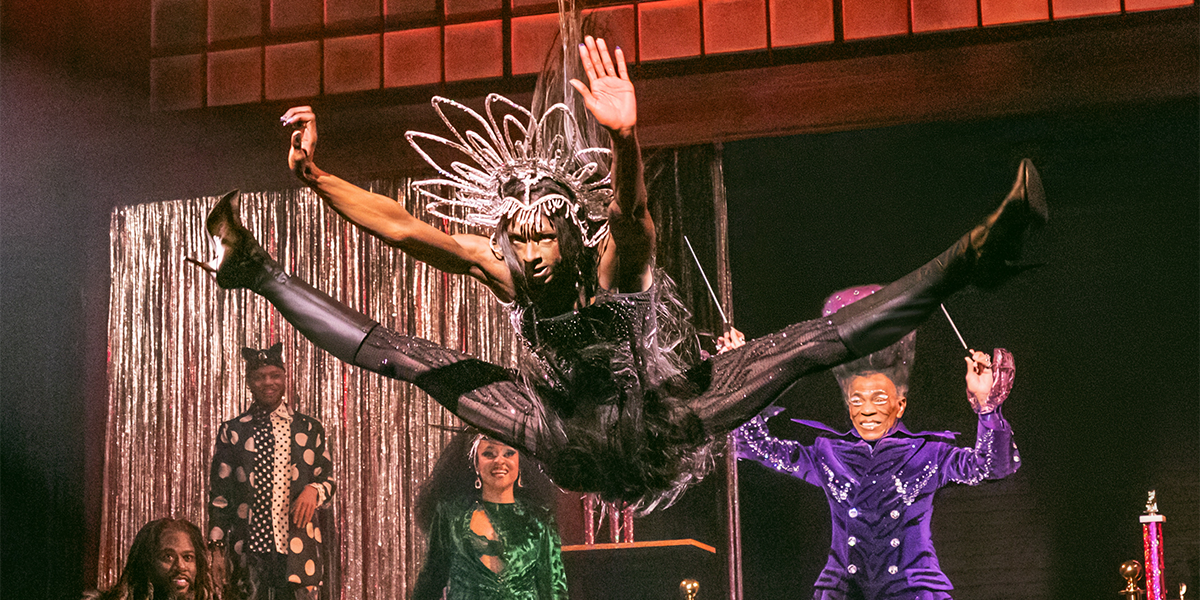 12 cats bway-1200x600-NYTG