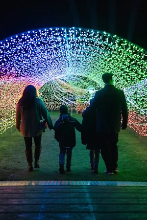 Warwick Castle One Day Entry + Light Trail tickets