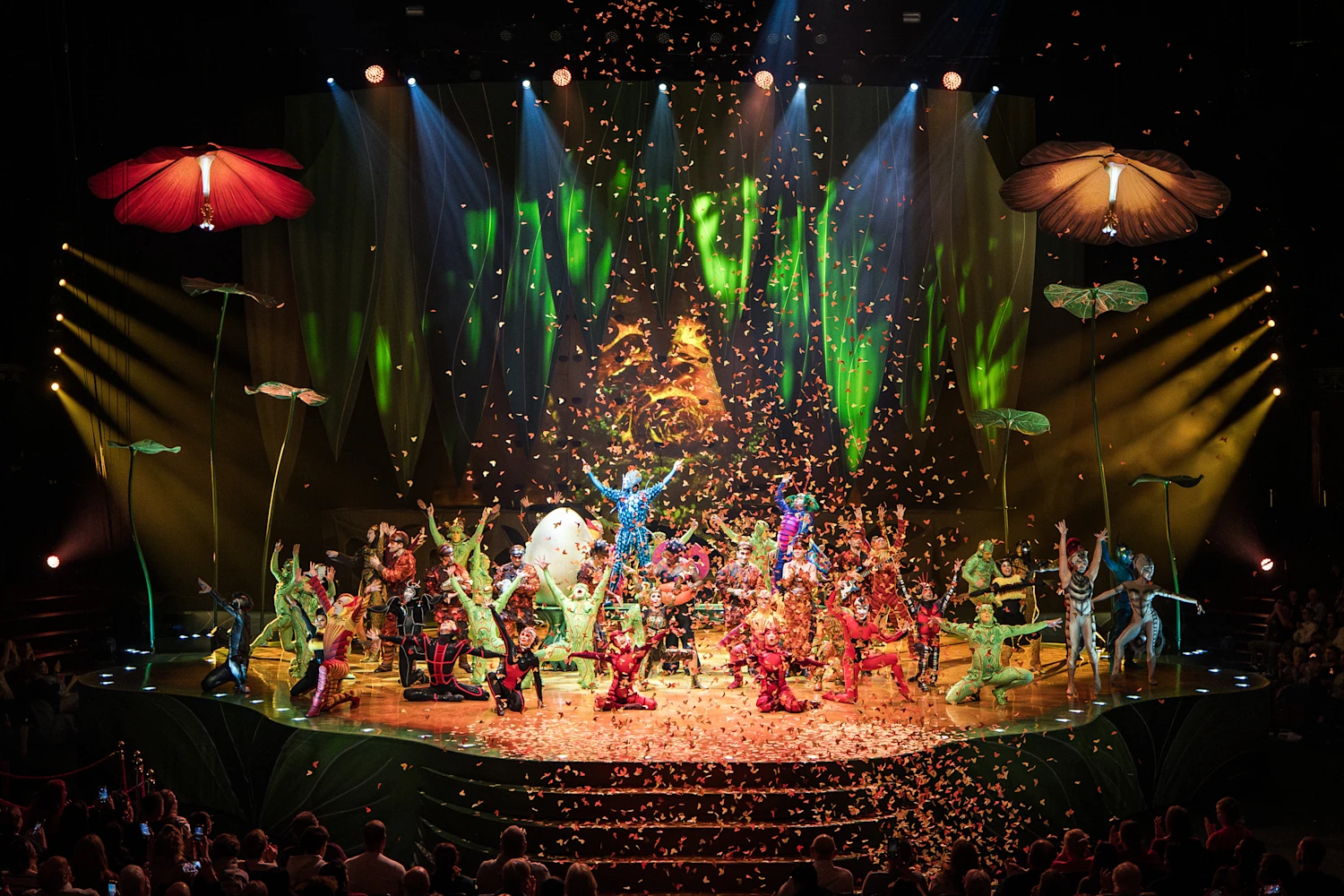 Cirque du Soleil - Ovo: What to expect - 3