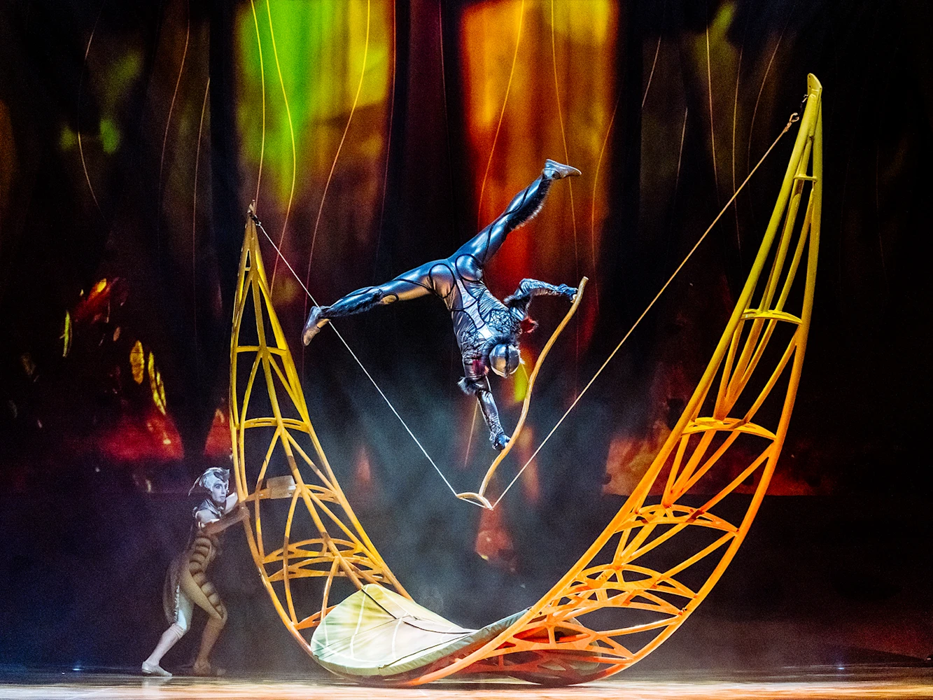 Cirque du Soleil - Ovo: What to expect - 2