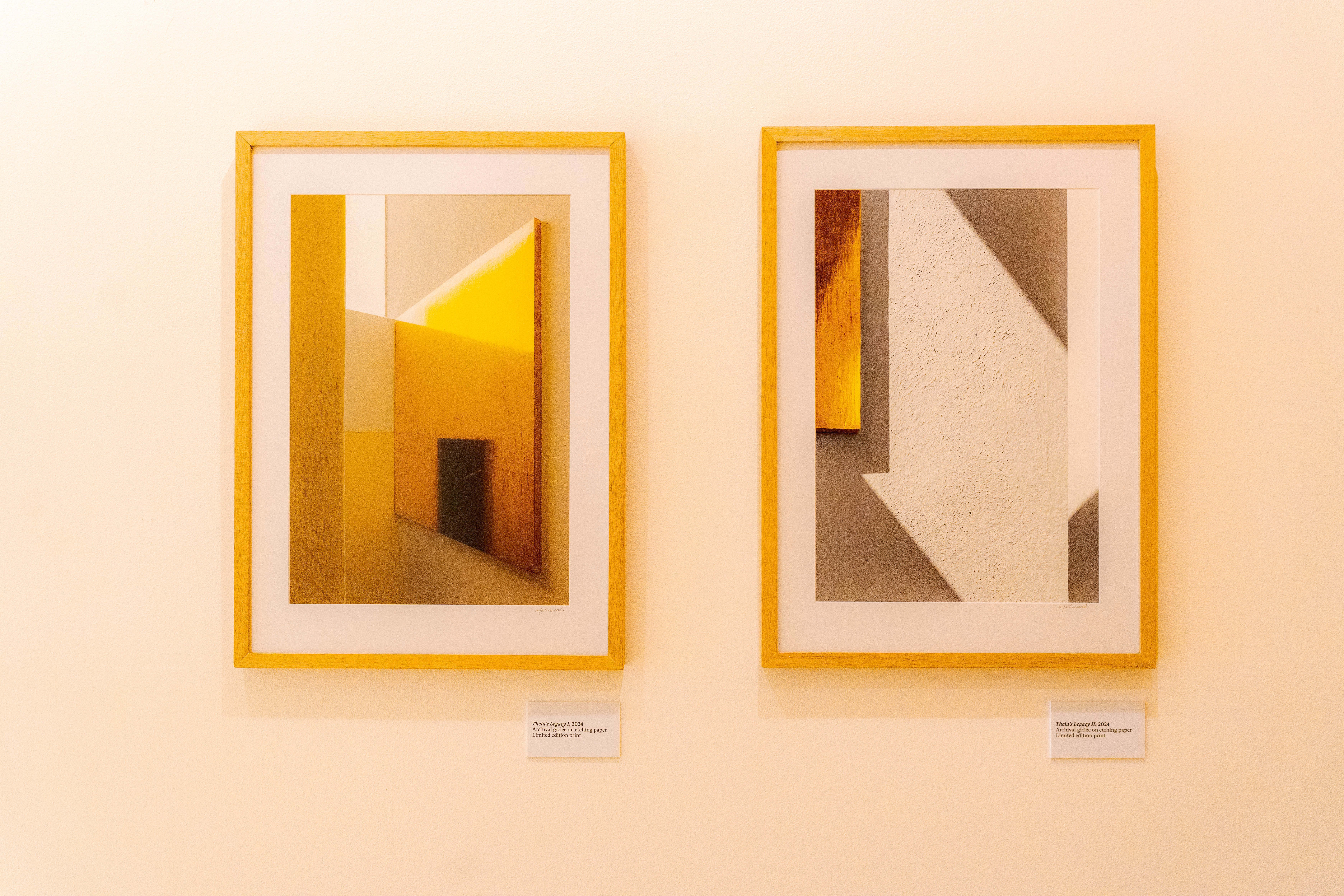 The Orchid Show: Mexican Modernism: What to expect - 5