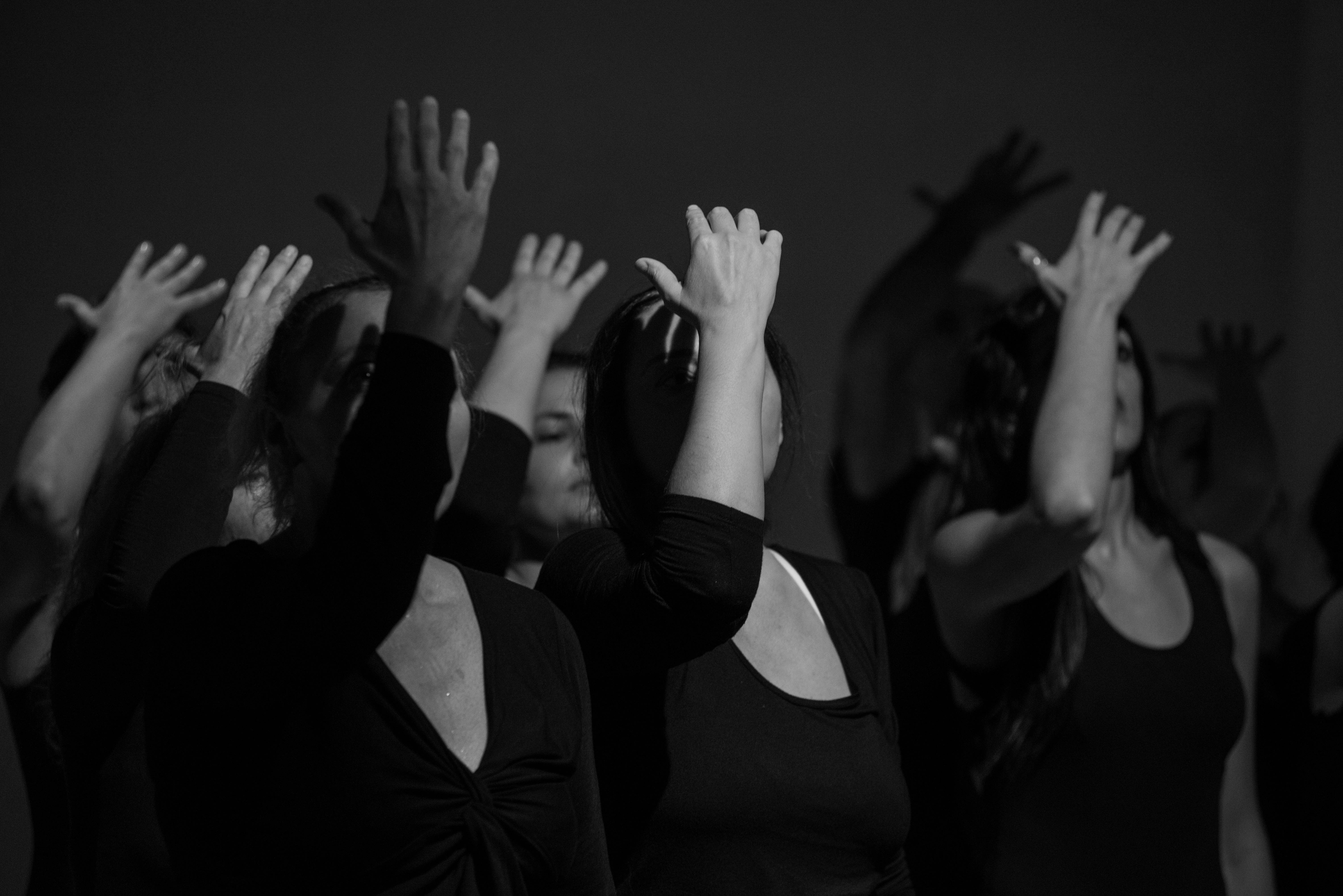 Take Root with Bassam Abou Diab: What to expect - 3