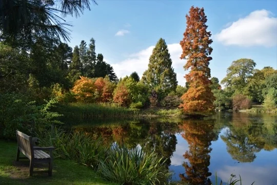 Kew Gardens from 1st Apr: What to expect - 8