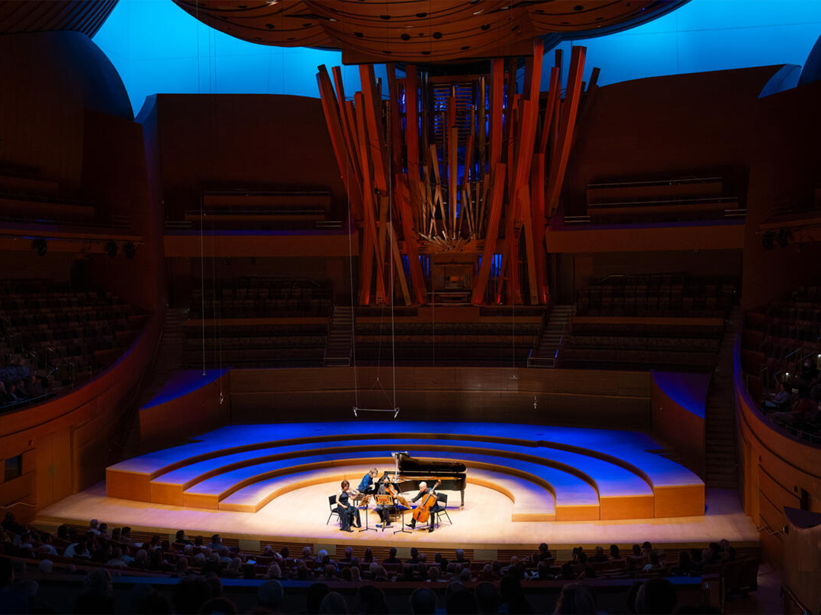 UNSTILL LIFE: What to expect - 3