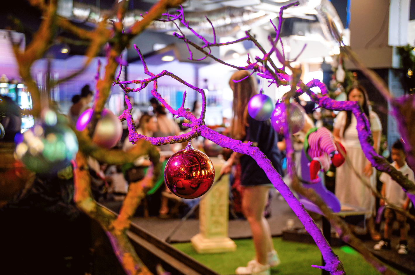 Santa's Village: Melbourne: What to expect - 4