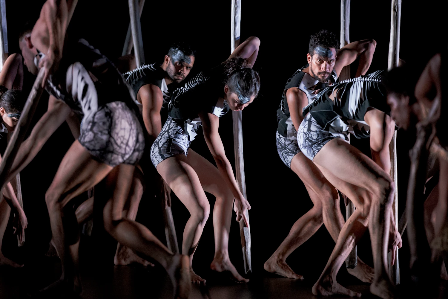 Sheltering: What to expect - 4