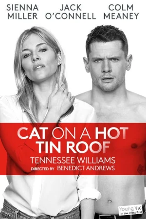 Cat on a Hot Tin Roof Tickets