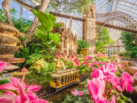 Miniature model train and buildings surrounded by lush greenery and vibrant pink flowers inside a greenhouse with a glass ceiling.