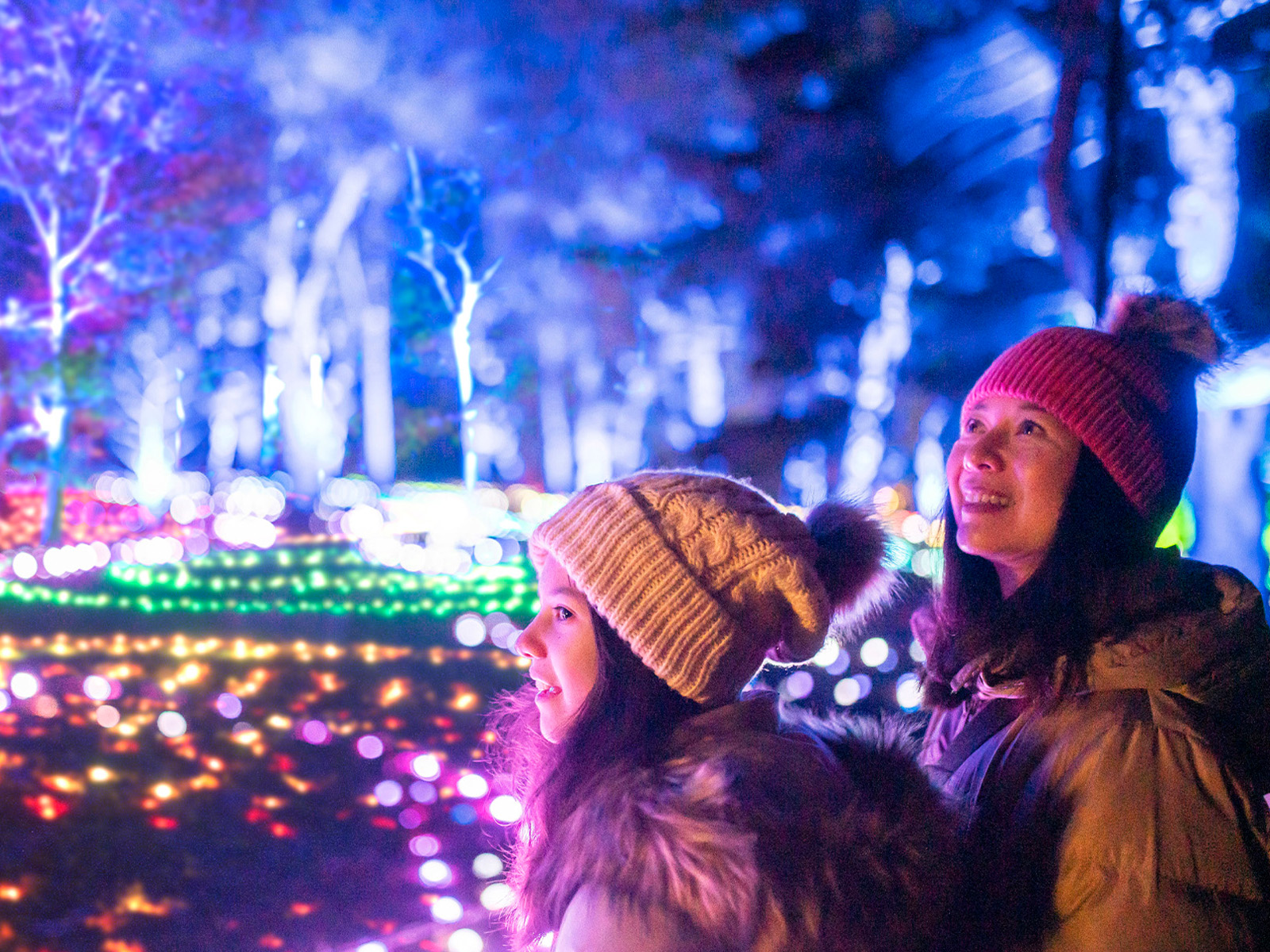 Lightscape Brooklyn: What to expect - 2