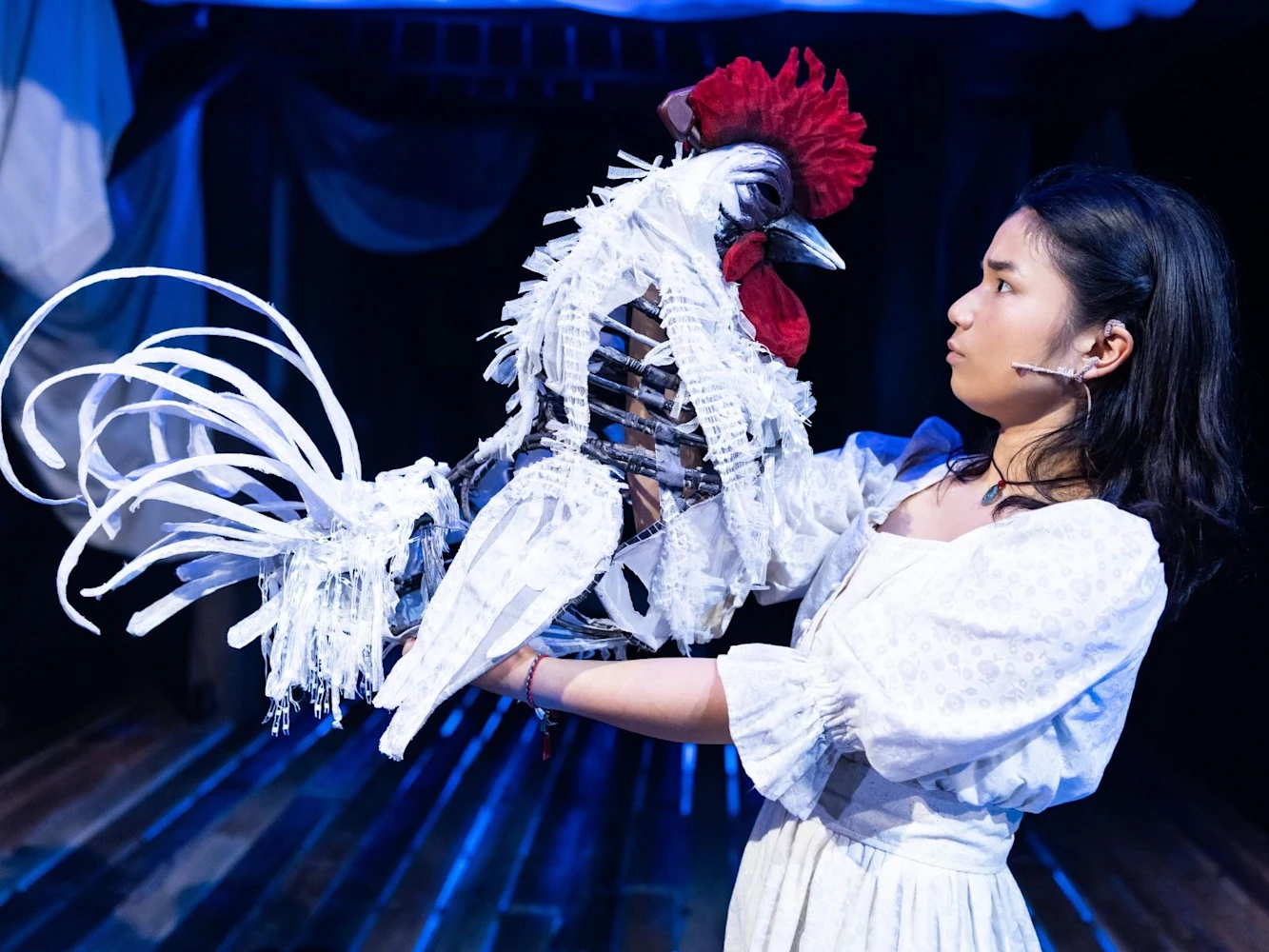 White Rooster: What to expect - 5