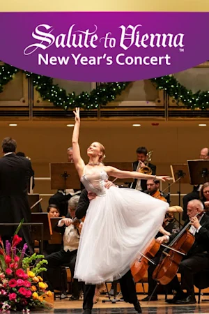 Salute to Vienna New Year’s Concert Tickets