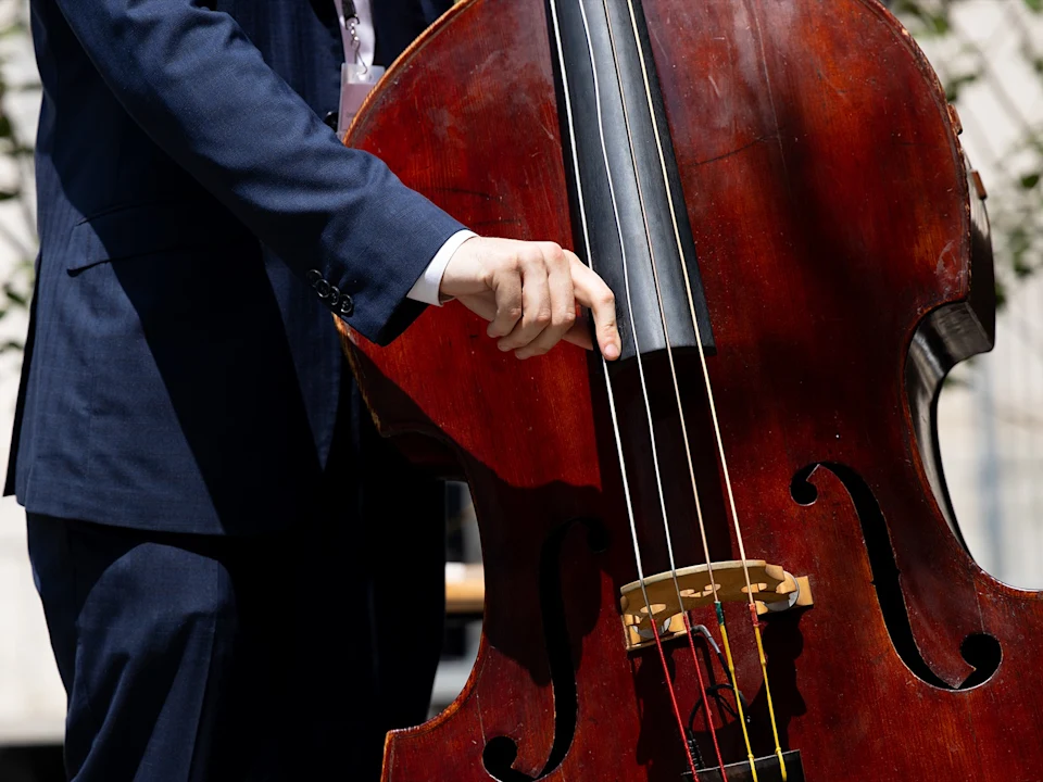 Juilliard Jazz | An Afternoon of Double Bass: Give the Bass Some: What to expect - 1