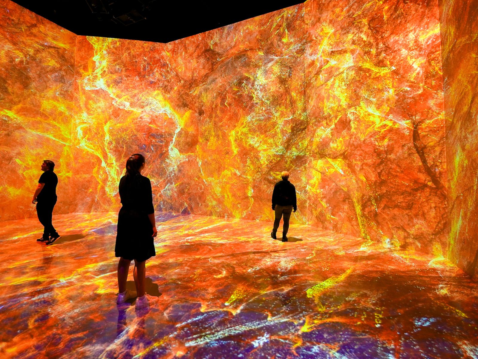 ARTECHOUSE: Beyond the Light: What to expect - 4